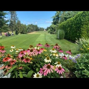 Meet your Posher, Annette